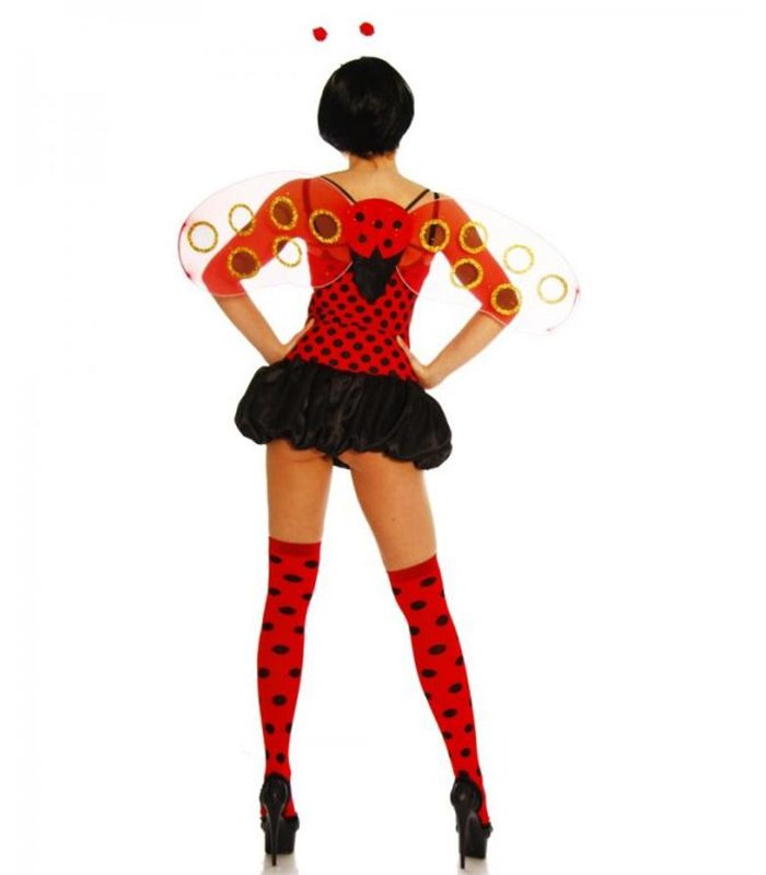 Ladybeetle Costume red/black Animals