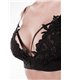 Erotikset von Grey Velvet