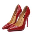 Giaro Pumps Taya Rotes Schlangenmuster