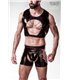 Erotikset von Grey Velvet MEN