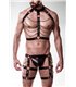 Erotikset von Grey Velvet MEN | Atixo