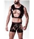 Erotikset von Grey Velvet MEN | Atixo