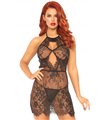 Spitzenkleid mit feiner Spitze und Blumenmuster | Leg Avenue