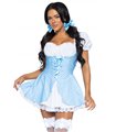 Gingham Dirndl | Leg Avenue