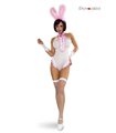 4-teiliges Hasen-Set mit Body, Armstulpen und Netzstrümpfen | Provocative 4-teiliges Hasen-Set mit Body, Armstulpen und Netzstrümpfen | Provocative
