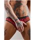 Tüll-Slip mit Vinyl-Einsatz und Öffnung | Regnes Fetish Planet