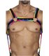 Herren Harness zweiteilig mit Metallringen und Karabinerhaken | CUT4MEN