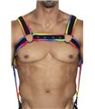 Herren Harness zweiteilig mit Metallringen und Karabinerhaken | CUT4MEN Herren Harness zweiteilig mit Metallringen und Karabinerhaken | CUT4MEN