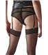 Strumpfhaltergürtel-Slip mit Netzstoff und Wetlook-Elementen | Regnes Fetish Planet
