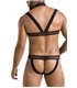 Harness Set mit Netzeinsätzen, Metallring und Gummibändern | Passion Menswear