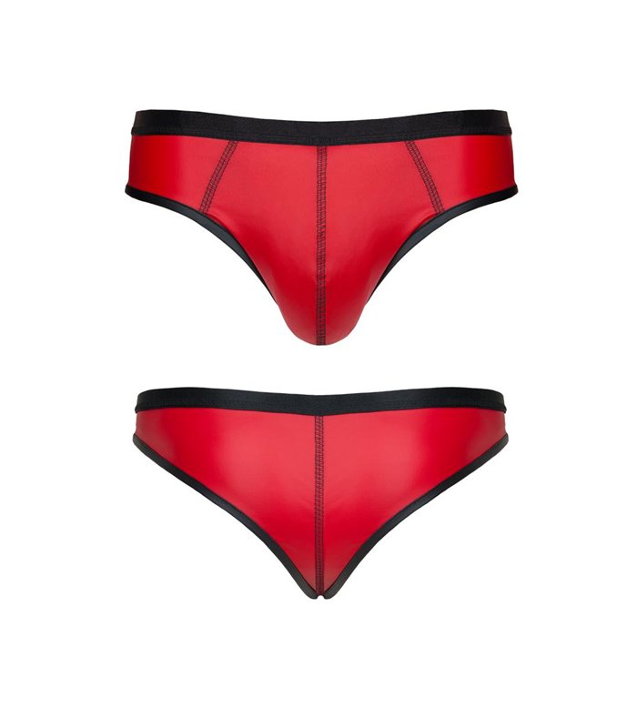 Eleganter Herren-Slip mit Netz-Einsatz aus glänzendem Wetlook-Material | Regnes Fetish Planet