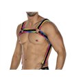 Herren Harness zweiteilig mit Metallringen und Karabinerhaken | CUT4MEN Herren Harness zweiteilig mit Metallringen und Karabinerhaken | CUT4MEN