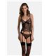 Transparentes Netz-Dessous-Set mit Strumpfhaltern und Bügel-BH | Passion
