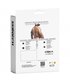 Herren-Harness mit Metallringen und Kettendetails | CUT4MEN