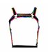 Herren Harness zweiteilig mit Metallringen und Karabinerhaken | CUT4MEN