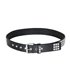 Studded Belt Nieteng√ºrtel Black-Silver | Aderlass
