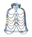 Harness Chain Rave Holo | Lovesect