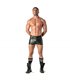 Mini Shorts Slim Fit mit tiefen Taschen - Sexy & Low Waist | TOF