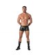 Push-Up Zipped Boxer – Unterstützende Fronttasche mit Reißverschluss | TOF