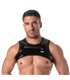 Herren Harness mit Reißverschluss – Sexy, glänzend & praktisch, Schwarz | TOF Paris