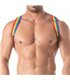 Schulter-Harness Rainbow Regenbogen verstellbar & komfortabel | TOF Paris