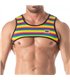 Herren Harness Rainbow – Bunter Stretch Komfort mit D-Ringen | TOF Paris