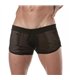 Männer Mini Shorts – Transparenter Mesh, atmungsaktiv & sexy, Schwarz | TOF Paris