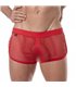 Herren Mini Shorts Rot – Atmungsaktive Mesh Shorts mit Retro-Style | TOF Paris