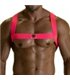 Herren Harness Neon Pink – Komfortabel & Stylisch | TOF